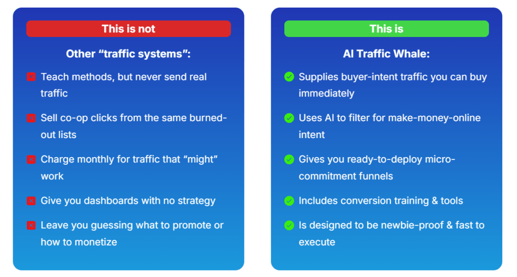 AI Traffic Whale Review