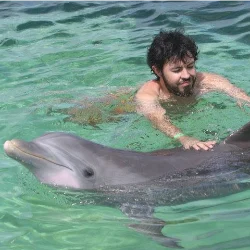 342 Prompts for Cute & Cozy Coloring Books Review & Bonuses: A Must-Have Resource for Cozy Art Creators